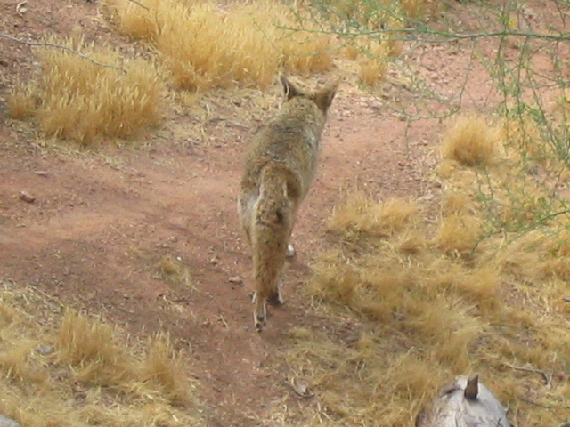 618x457 pixels (198K)